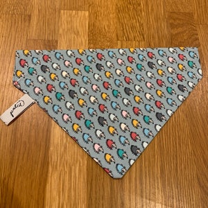 Hedgehog Bandana