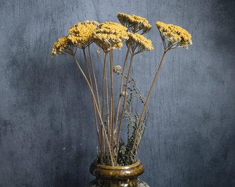 Bouquet d’Achillea séché - Jaune d’or