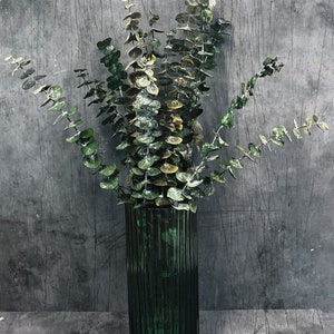 Preserved eucalyptus bunch - mini