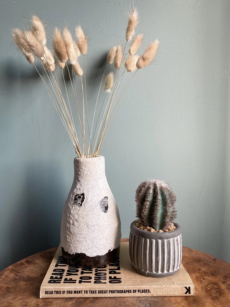 Dried Bunny Tails Natural Etsy