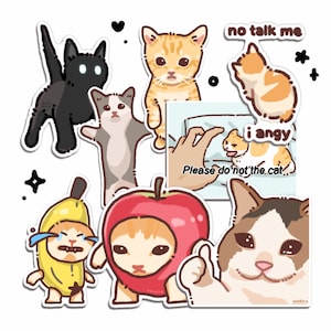 Stickers chats meme | Des cadeaux amusants et mignons pour les amateurs de chatons