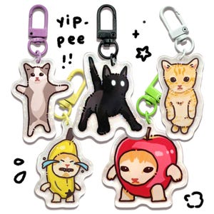 Cat Meme Keychains | Funny Cute Gifts for Kitty Lovers