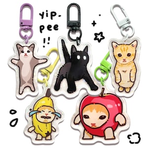 Cat Meme Keychains | Funny Cute Gifts for Kitty Lovers