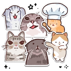 Adesivos de memes de gatos 4 | Vinil à prova d'água, fofos e divertidos para presentear