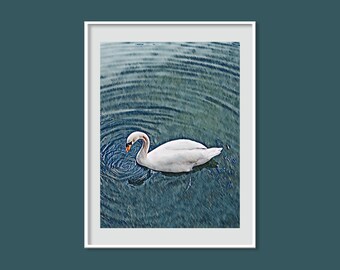 The Peaceful Swan  - Art Print, Printed Artwork Poster Art, Tranquillity