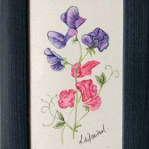 Sweet Peas in Watercolour (framed, or print only)