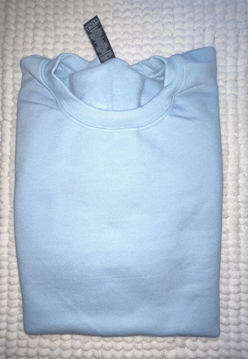 Strawberry Shortcake Embroidered Sweatshirt/ Sueter Bordado, Childhood Memories cartoon Light Blue