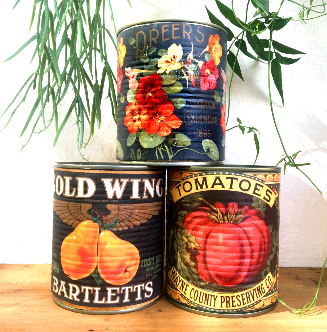 Boîte de conserves étiquette vintage Etsy