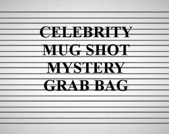 Mug Shot Celebrity Stickers Mystery Grab Bag | Laptop Stickers | Journal Sticker Bundle | Choose Bundle size !