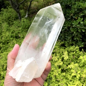 7.64&quot;Natural Clear Lemurian Seed Quartz Crystal/Amazing Rough Unpolished Quartz Point/Companion crystals/Record KEEPERS/Linear Ridges/Brazil
