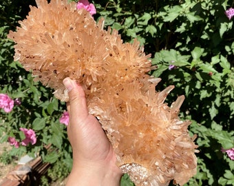 Grappe de quartz rouge naturel/gros morceau de cristal de chrysanthème brut de qualité supérieure/grappe de quartz rouge brut/cristal de guérison Druzy/Reiki
