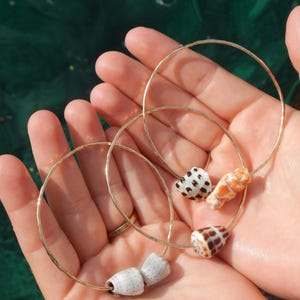 May include: Two thin, hammered gold-tone metal bangles, each featuring small, natural seashells threaded onto the wire. One bangle holds two white shells with dark speckles, while the other holds two distinct shells, one white with black spots and one orange.