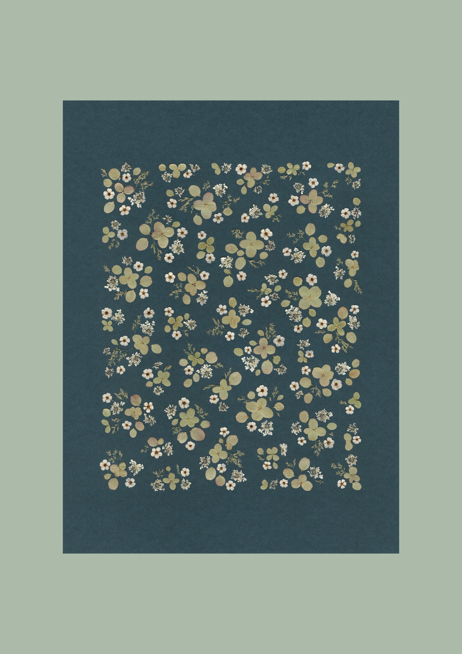 Affiche Tirée d'un Herbier Original - Reproduction/Affiche Herbier Fleurie Liberty A L'ombre Des Her