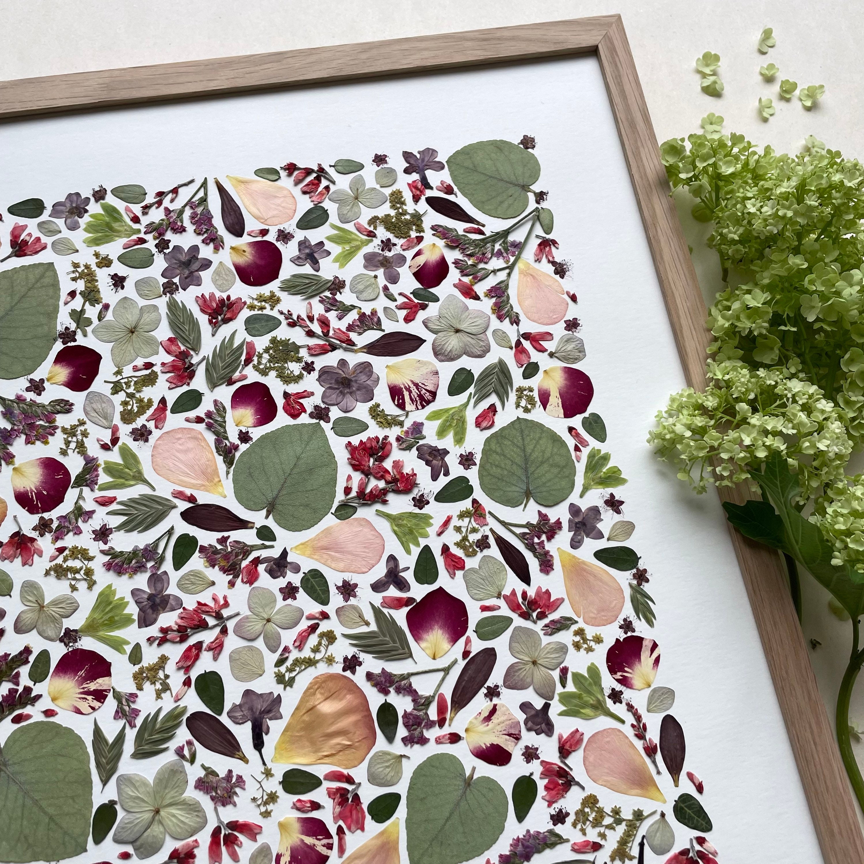 Herbier de Fleurs Séchées/Herbier Encadré Rose, Renoncule & Eucalyptus Herbarium/ A L'ombre Des Herb