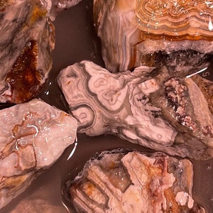 May include: Close-up of several raw agate stones in various shapes and sizes. The stones display a range of colors, including white, brown, and gray, with intricate patterns and banding. Some stones have a polished, wet appearance.