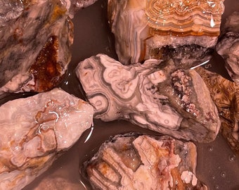 May include: A collection of raw agate stones, showing a variety of shapes and sizes. The stones exhibit a mix of colours, including white, brown, and grey, with complex patterns and banding. Some stones have a polished, wet look.