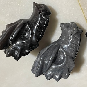 Tektite Dragon Skull Carvings!! (Agni Manitite Tektite) Unique Home Decor Gift Present Office Desk Decoration Crystal Collector