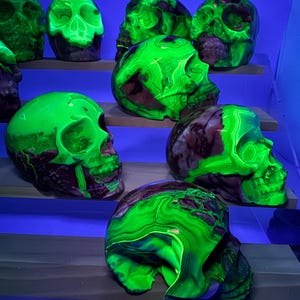 May include: A display of luminous green and purple skull ornaments. The skulls are displayed on wooden shelves against a blue backdrop. The skulls have a marbled effect with vibrant green accents.