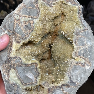 Earth&#39;s Mystery Box: Geodes, Clusters & Fossil Mystery Box - Discoveries Await! **NEW STONES!**