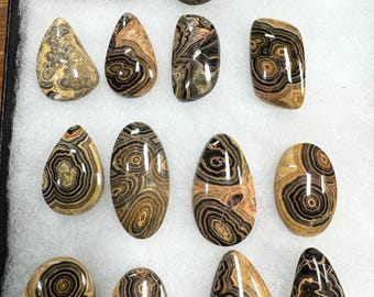 Puede incluir: Una colección de piedras preciosas pulidas en varias formas, incluyendo óvalos, lágrimas y cuadrados. Las piedras presentan patrones concéntricos en tonos marrón, negro y beige, que recuerdan a la veta de la madera. Las piedras preciosas se exhiben sobre una superficie blanca texturizada.