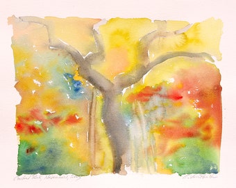 Original watercolor painting: Fall foliage, Central Park, November 1, 2003