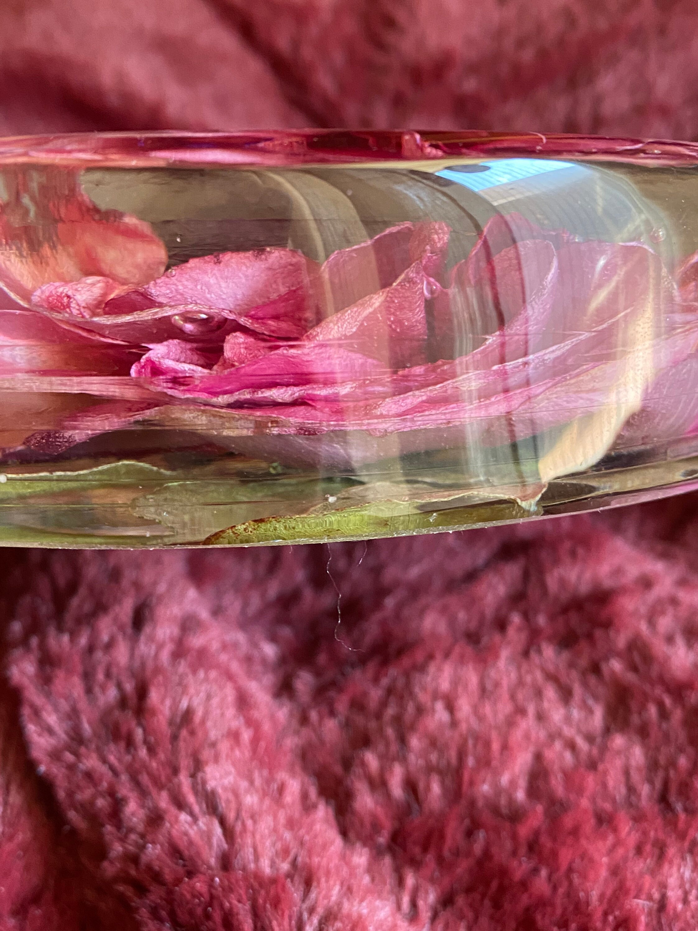 Pink Rose in Resin Etsy