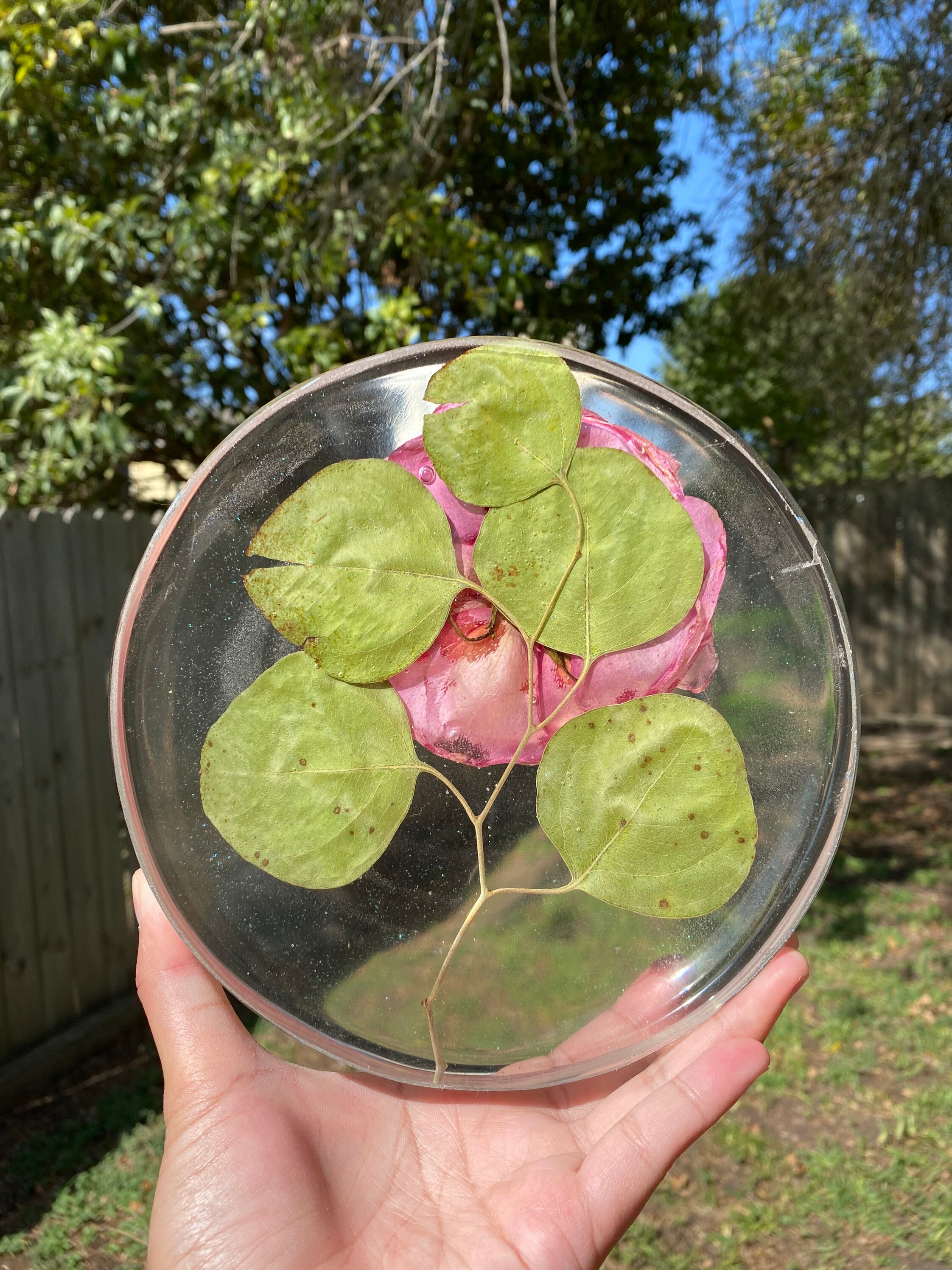 Pink Rose in Resin Etsy