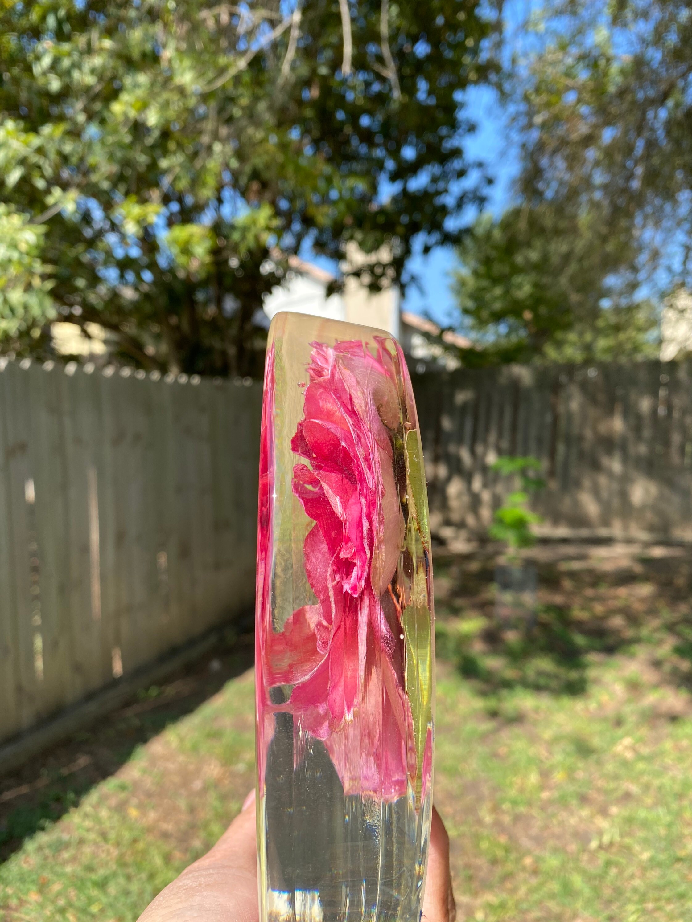 Pink Rose in Resin Etsy