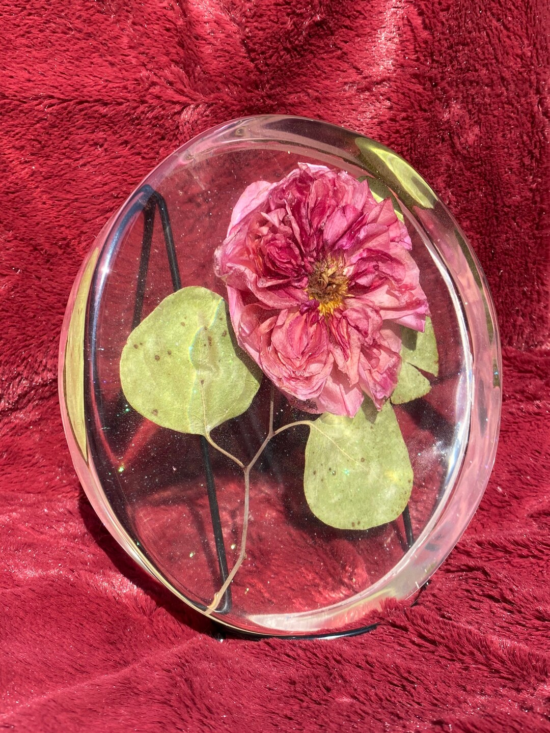 Pink Rose in Resin Etsy