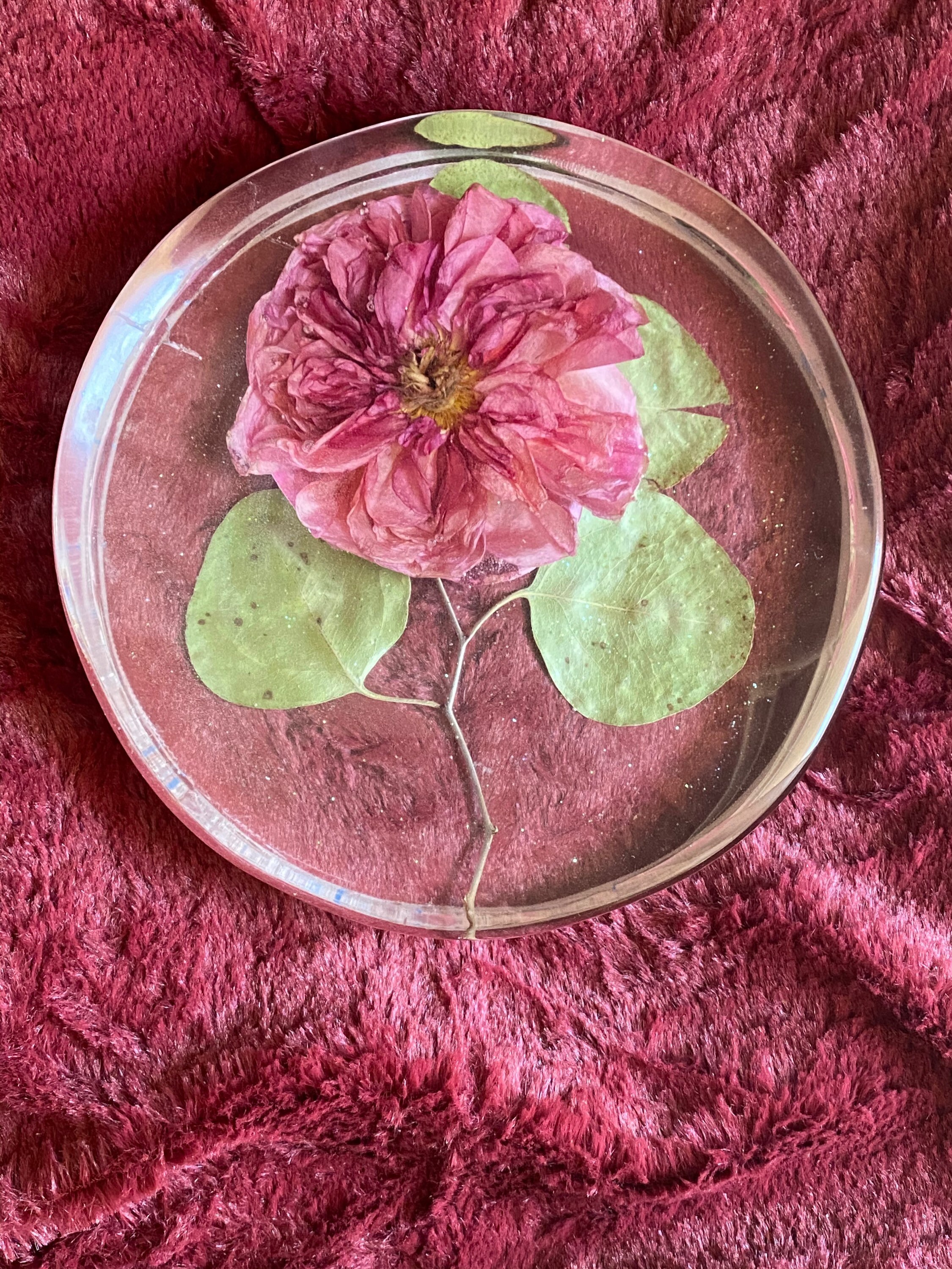 Pink Rose in Resin Etsy