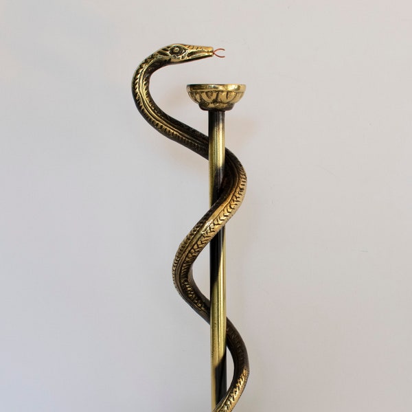 Collier Serpent Bâton d'Asclépios (Acier)