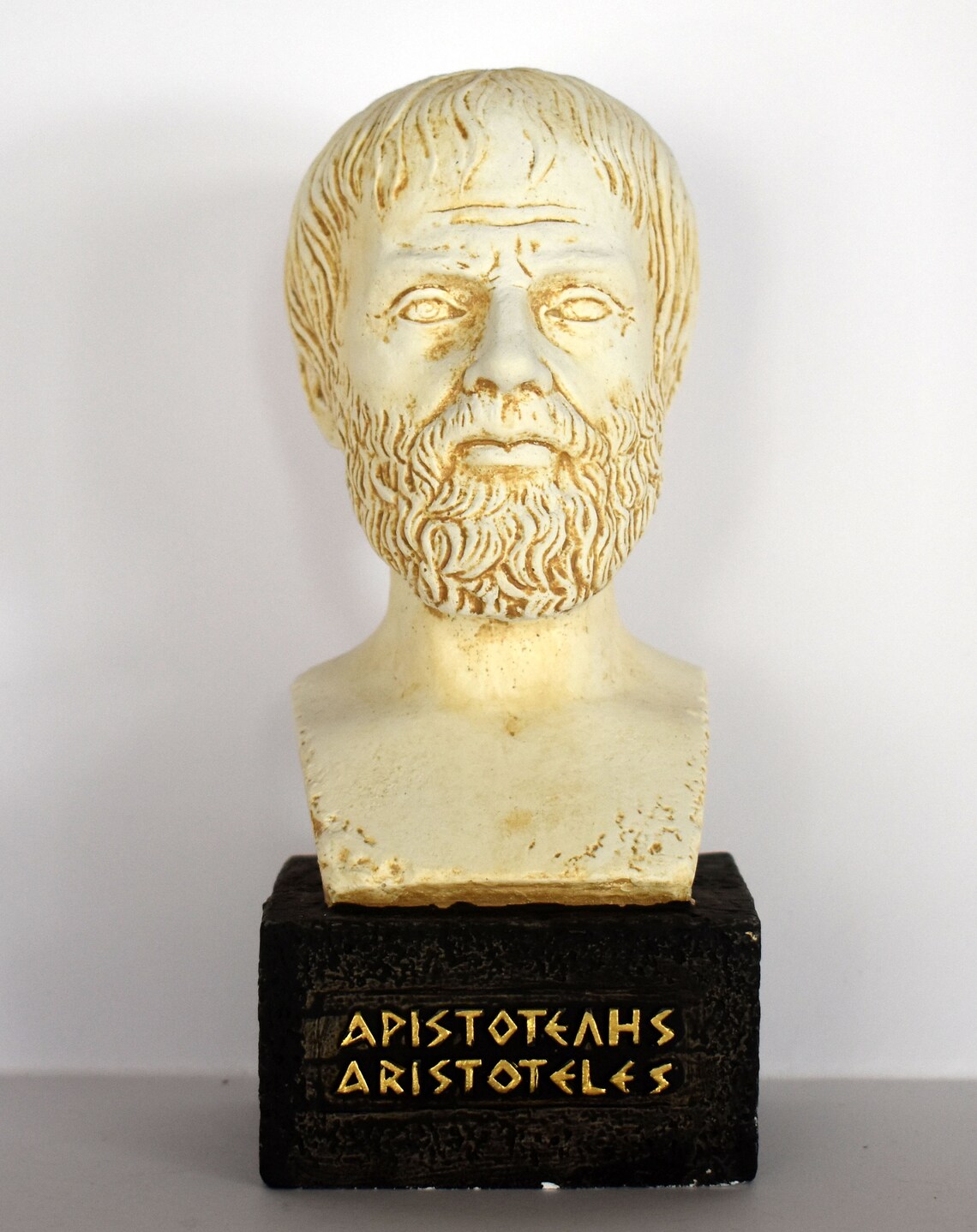 Aristotle Student of Plato Father of Western Philosophy - Etsy UK