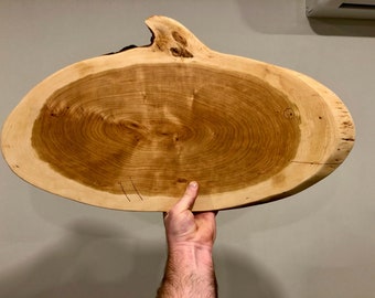 Download Shark Coochie Board Etsy