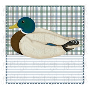 Mallard Duck with Background PNG