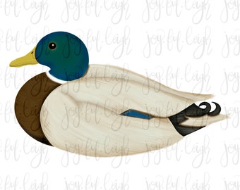 Mallard Duck PNG