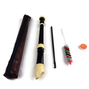 Korean Musical Instrument With Original Case, Vintage Thais Musical Instrument Korea