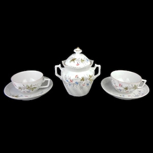 Vintage Porcelain Tea Cooffee Set, Coffee Tea Dining Set Bavaria Germany