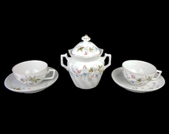 Vintage Porcelain Tea Cooffee Set, Coffee Tea Dining Set Bavaria Germany