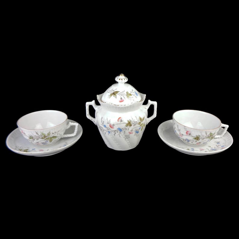 Vintage Porcelain Tea Cooffee Set, Coffee Tea Dining Set Bavaria ...