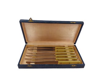Antique Dining Knife Set of 6 in Original Box