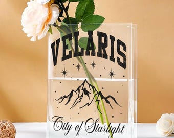 ACOTAR Velaris City Of Starlight Book Vase, ACOTAR Night Court Bookshelf Decor, Fantasy Book Gift, SJM Readers Book Vase, Library Vase