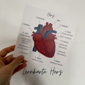 Flashcard Coeur