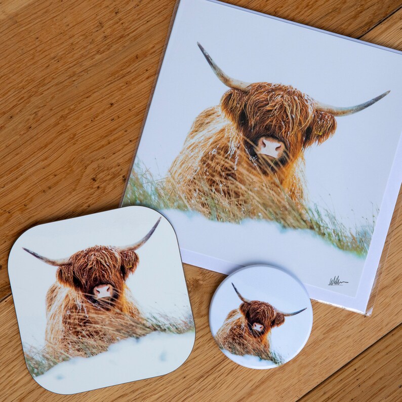 Highland Cow Gift Set Greetings Card Coaster & Fridge Etsy