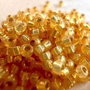 May include: A close-up shot of a pile of small, golden-colored seed beads. The beads are cylindrical with a hole running through the center, and they have a slightly translucent appearance. The beads are scattered, creating a textured surface.