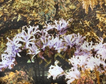 Natural Discoveries woodland fabric