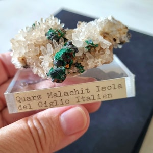 Könnte beinhalten: Nahaufnahme einer kleinen Gruppe weißer Quarzkristalle mit grünen Malachiteinschlüssen. Die Gruppe wird auf einem klaren Acrylsockel mit einem Etikett präsentiert, auf dem "Quarz Malachit Isola del Giglio Italien" steht.