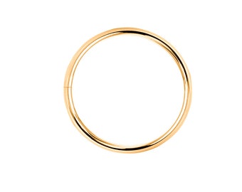 Piercing Ring 925 Sterling Silver 18K Gold Plated Yellow Gold Thin Hoop Ear Piercing Lip Piercing Nose Piercing for Women, Men and LGBT