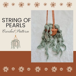 Könnte beinhalten: Häkelmuster für eine hängende Perlenschnurpflanze. Die Pflanze ist grün und der Topf ist braun. Das Muster heißt "String of Pearls Crochet Pattern".