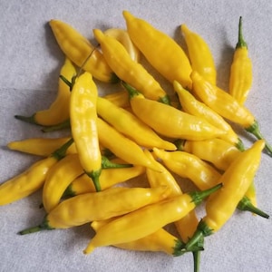 Ají Limón/Lemon Drop Pepper Seeds