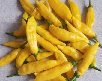 Ají Limón/Lemon Drop Pepper Seeds